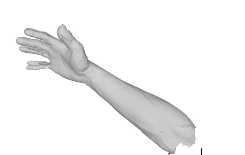 3D arm scan